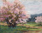 almond tree